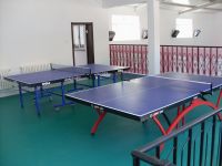 乒乓球pvc地板，乒乓球館地膠