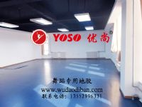 供應(yīng)優(yōu)質(zhì)舞蹈地膠，舞蹈地膠生產(chǎn)廠家及報(bào)價(jià)