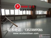 落地固定式舞蹈把桿，一級加厚鑄鐵的舞蹈把桿，穩(wěn)固安