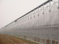 溫室陽光板8mm、10mm陽光板價(jià)格5年板