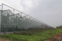 溫室陽光板8mm、10mm陽光板價(jià)格7年板